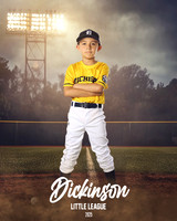 CP7_WOLVERINES_Turrubiartes_Santiago_DLL12417_FIELD LIGHTS_