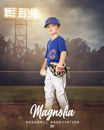 6U_Cubs_McCullen_Gentry_MAG11538_FIELD LIGHTS_