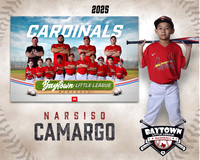 M3_ Cardinals_Camargo_Narsiso_BAY27981_MM