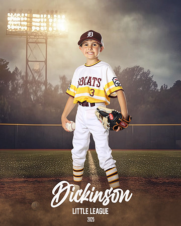 CP8_BOBCATS_BROZE_JACOB_DLL12368_FIELDLIGHTS