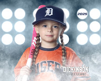 TB_TIGERS_Shafer_Harper_DLL12292_LIT