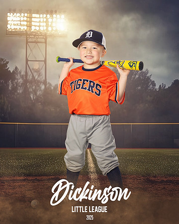 TB_TIGERS_villanueva_Giovanni_DLL11537_FIELD LIGHTS_