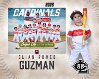 CP.Gibson.Cardinals_Guzman_Elian_SF_27482_MM