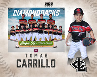 CP.Austin.Diamondbacks_Carrillo_Tomas_SF_27300_MM_MM