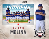 M1_Dodgers_Molina_Aaron_BAY29027_MM