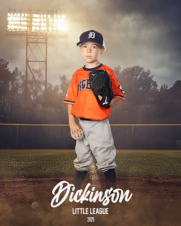 TB_TIGERS_ROUSER_Landon_DLL11531_FIELD LIGHTS_