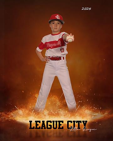 AAA.Lutz.Cardinals_Sledge_Reid_143A1943_ROF