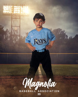 4_5U_Rays_Francis_Colt_MAG25409_FIELD LIGHTS_