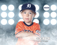 TB_TIGERS_ROUSER_Landon_DLL11524_LIT