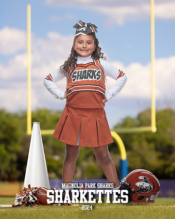 MASCOT_Castellanos_Aimee_IMGL1361_GOAL POST_