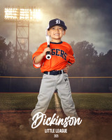 TB_TIGERS_Polk_Maddox_DLL11517_FIELD LIGHTS_