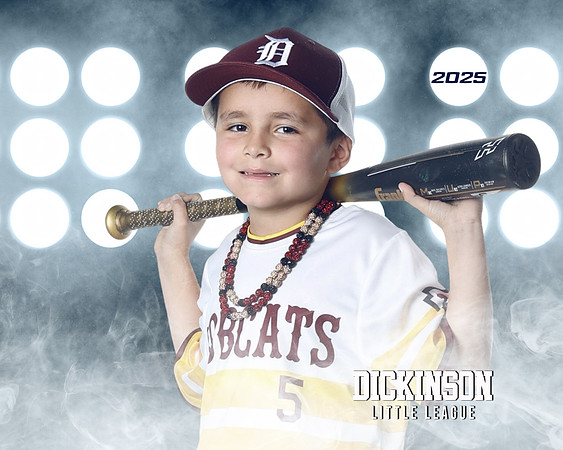 CP8_BOBCATS_Powell_Greysen_DLL12333_LIT