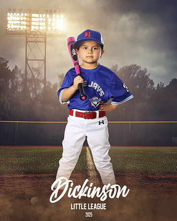 TB_BLUEJAYS_Gallo_Gianna_DLL12669_FIELD LIGHTS_