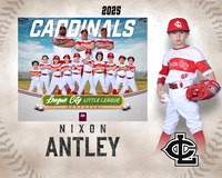 CP.Gibson.Cardinals_Antley_Nixon_SF_27709_MM