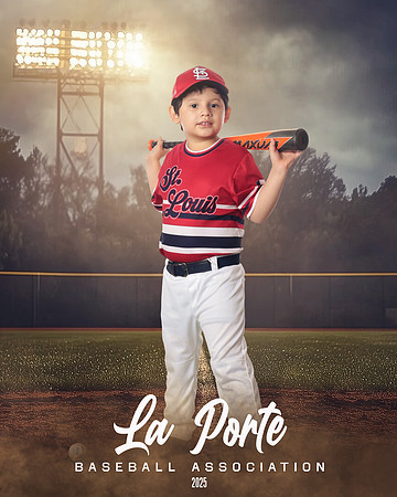 4U_Foal_Cardinals_Martinez_Mateo_LP022630_FIELDLIGHTS