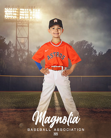 7U_Astros_Ibarra_Hayes_MAG10172_FIELD LIGHTS_