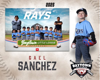 TB_ Rays_Sanchez_gael_BAY28183_MM