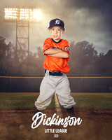 TB_TIGERS_ROUSER_Landon_DLL11523_FIELD LIGHTS_