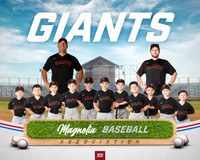 4_5U_Giants_Dowling_Bradey