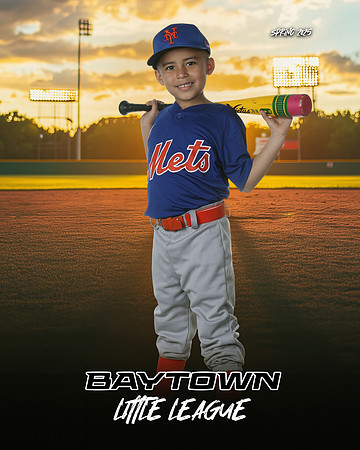 M2_ Mets_Gonzalez_Fidel_BAY12753_SUNSHINE