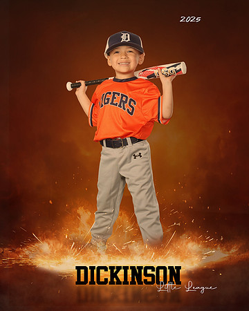 TB_TIGERS_Polk_Maddox_DLL11519_ROF