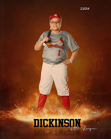 MJR_CARDINALS_Torres_Brody_DLL13156_ROF