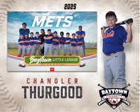 M1_Mets_Thurgood_Chandler_BAY12783_MM