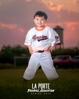 4U_Foal_Astros_Bennett_Colton_LP022694_TRUCK