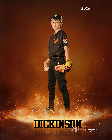 MJR_ORIOLES_Lee_Camden_DLL12964_ROF