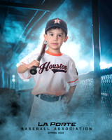 4U_Foal_Astros_Tudon_Thomas_LP022662_DUGOUT
