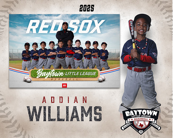 TB_ Red Sox_Williams_Addian_BAY28787_MM