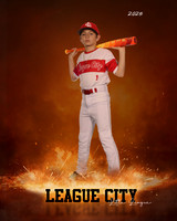 MJR.Powell.Cardinals_Bice_Landan_143A1731_ROF