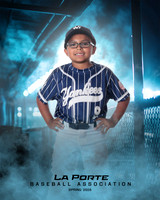 8U_Pinto_Yankees_Tirado_Brian_LP023815_DUGOUT
