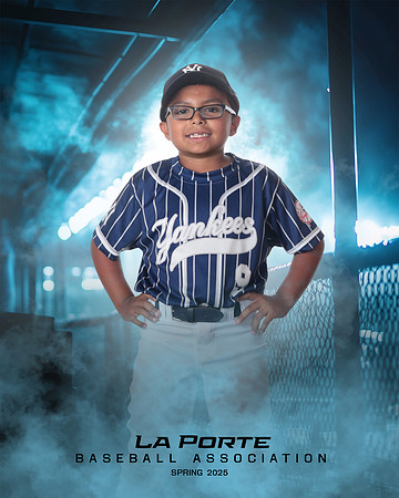 8U_Pinto_Yankees_Tirado_Brian_LP023815_DUGOUT