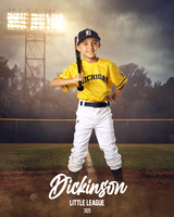 CP7_WOLVERINES_Turrubiartes_Santiago_DLL12418_FIELD LIGHTS_
