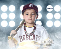CP8_BOBCATS_Powell_Greysen_DLL12332_LIT