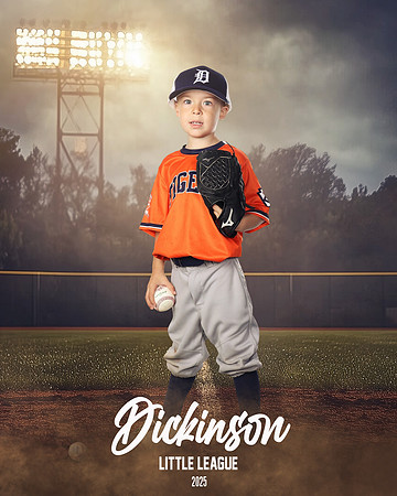 TB_TIGERS_ROUSER_Landon_DLL11530_FIELD LIGHTS_