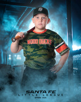 CP5_WOODDUCKS_Robinson_Kade_IMGL8351_DUGOUT
