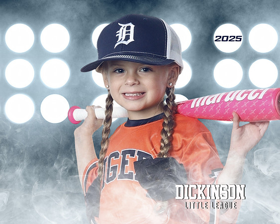 TB_TIGERS_Shafer_Harper_DLL12293_LIT