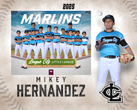 MJR.Dickson.Marlins_Hernandez_Michael_SF_27436_MM