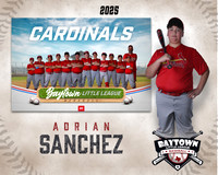 MJR_Cardinals_Sanchez_Adrian_BAY29903_MM