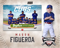 TB_ Cubs_Figueroa_Mason_BAY29776_MM