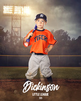TB_TIGERS_ROUSER_Landon_DLL11526_FIELD LIGHTS_