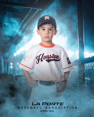 4U_Foal_Astros_Tudon_Thomas_LP022659_DUGOUT