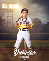 CP8_BOBCATS_Powell_Greysen_DLL12331_FIELD LIGHTS_