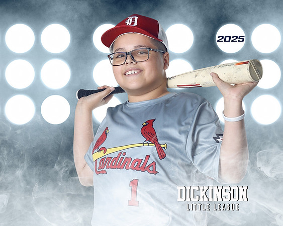 MJR_CARDINALS_Torres_Brody_DLL13158_LIT