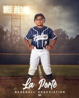 8U_Pinto_Yankees_Tirado_Brian_LP023814_FIELDLIGHTS