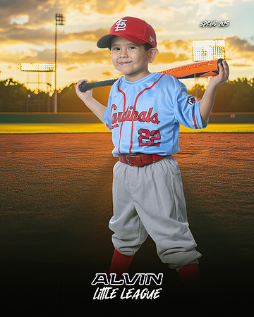 TB_ CARDINALS_Ruiz_Leonardo_143A3230_SUNSHINE