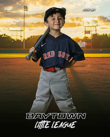 TB_ Red Sox_Michel_Michael_BAY28835_SUNSHINE