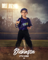 CP5U_RAYS_Brashear_Jasper_DLL29554_FIELD LIGHTS_